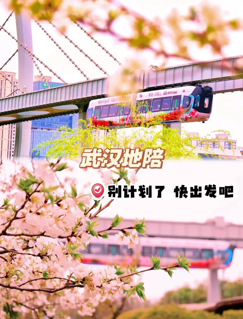 武汉商务陪游_武汉伴游模特预约_武汉商务伴游体验