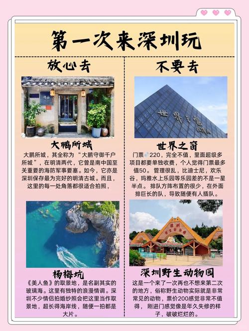 深圳私人伴游怎么样_深圳伴游招聘90万月薪_深圳高端私人伴游招聘