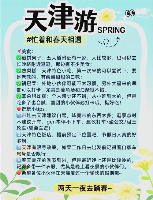 天津南开区私人导游服务推荐：深度体验历史与购物的完美结合