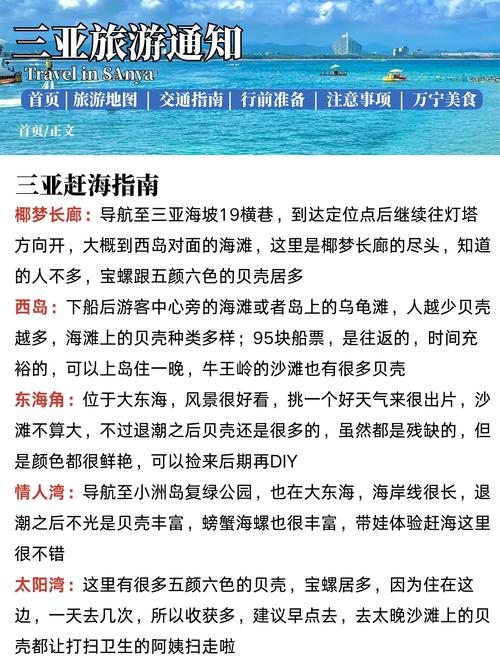 三亚商务旅游协助服务内容及伴游人员素质究竟如何？