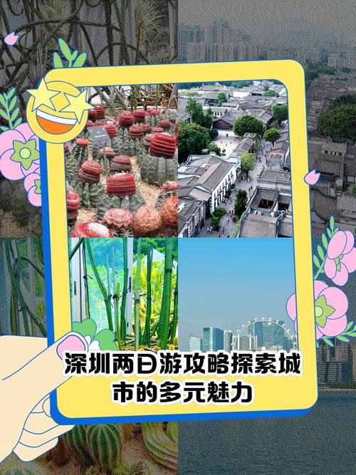 深圳商务伴游体验_深圳高端伴游预约_深圳商务伴游价格