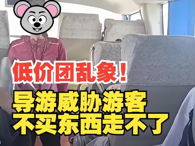 北京商务陪游多少钱一天_北京高端伴游什么价格_北京商务伴游什么价格